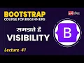 Visibility Bootstrap Lecture 41 Bootstrap for beginners