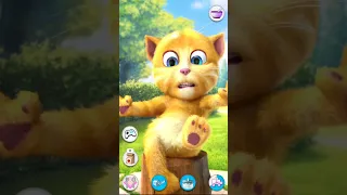 my ginger talking tom cat and fun funny games
