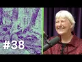 Download Lagu #38 | De magische wereld van bomen | Maja Kooistra