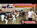 Download Lagu ШЕРЗОД ОҒАНИ ЗОТДОР МОЛЛАРИ КЕЛДИ ХИВА ПАРИША МАХАЛЛАСИГА 1-июля 2025 г.