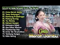 Lagu Silvy Kumalasari Full Album Terbaru - Cinta Merah Jambu | Campursari Dangdut Koplo | Tia Monika