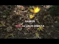Download Lagu CINTAKU SEDALAM LAUTAN   RIA RESTI FAWZI Indonesian Malay Karaoke