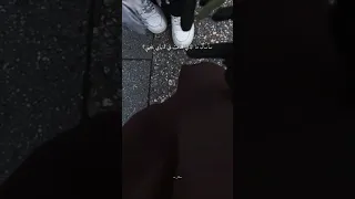سأسأل مالذي قدمت في دنياي ينجيني  سأسأل مالذي قدمت في دنياي ينجيني