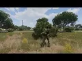 Arma 3 Editor - How to set up switchMove and playMove using waypoints
