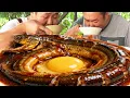 Download Lagu 收完芝麻，二弟做“鱔魚燒雞公蛋”，軟糯Q彈拌飯吃過癮【鐵鍋視頻】