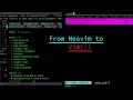 Neovim To Vim Setting Up LSP