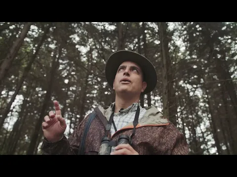 Pajarero (Birder) Official Trailer