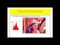 Face Detection Using OpenCV Python Haar Cascade