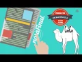 07 - Curso de JavaScript para principiantes Variables en JavaScript