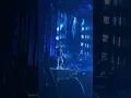 Post Malone Live in Bristow Virginia