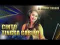 Download Lagu DJ Minang Terbaru 2022 - Cinto Tingga Carito || TIKTOK (BA MUSIK DJ REMIX)