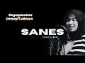 Download Lagu SANES - Cover Restianade. (Full lirik) | Lirik lagu | ChanZMedia