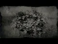 Blackberry Plant Location - Red Dead Redemption 2 RDR2 Herbs
