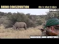 Download Lagu Hunting 2 Cape Buffalo \u0026 White Rhino (CONSERVATION...)