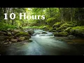 Download Lagu 10 Hours of Handel's Passacaglia