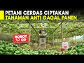 Lagu Petani Cerdas, 15 Tahun Sekolah Dilahan Ciptakan Labu Siam Anti  Gagal Buahnya Besar \u0026 Manis