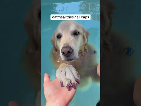 This is my favorite solution so far!! #PoolTime