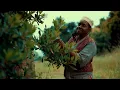 CHIKA - TRUTH OR DARE (ft. Freddie Gibbs) [Official Music Video]