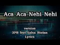 Download Lagu Aca Aca Nehi Nehi - Version 3PB feat Salsa Bintan (Lyrics) HD