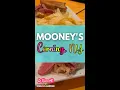 Mooney s