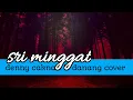 Download Lagu Sri Minggat - denny caknan ft danang lirik lagu