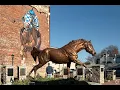 Living in Paris KY The Ultimate Local Guide Homes com