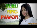 COVER LAGU TURU NING PAWON (Reggae Ska Version) || by AMEL ALIGH