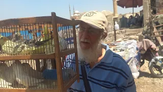 اسعار العصافير بسوق الأحد اليوم بأرقام اصحابها والناس اشترت عصافير ايه وبكام من السوق  الجزء الرابع  دندنها