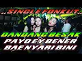 Download Lagu DJ DANDANG BESAK \