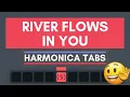 How to play RIVER FLOWS IN YOU on harmonica