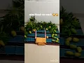Download Lagu Mango theme 🥭🥭 photoshoot ideas at home,Summer theme #viralshorts #trendingshorts #ytshorts #shorts