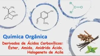 Derivados de Ácidos Carboxílicos: Éster, Anidrido Ácido, Amida e Cloreto de Acila