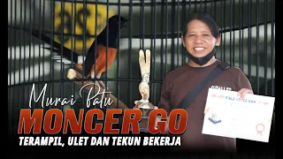 Download Murai Batu Moncer Go ...!!! Jangan Lupa Tersenyum MP3