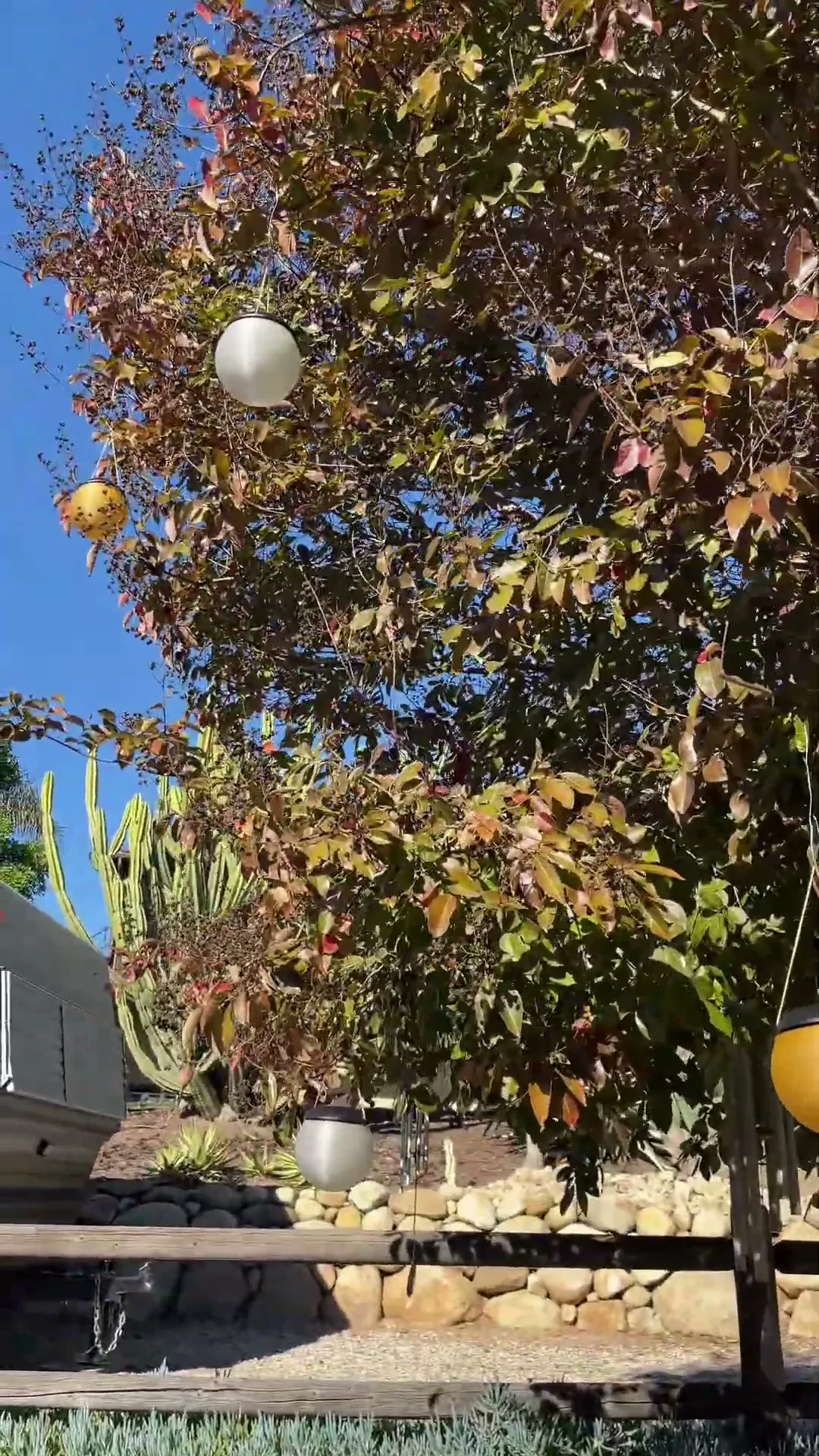 Outdoor Christmas Ornament