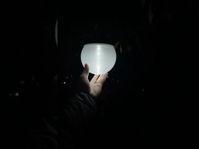 Outdoor Christmas Ornament video thumbnail