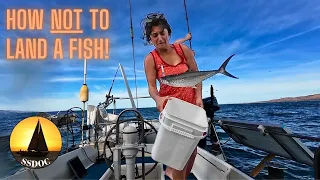 Off-Grid Sailing Life In Baja Mexico | Engineless Sailing & Living Off The Sea – Ep. 90