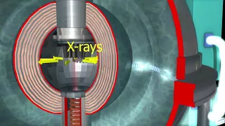 Focus Fusion Direct Conversion to Electricity