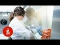The Disease Detectives Stop Outbreaks at Their Source