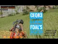 3 Foal s locations in Exiled lands
