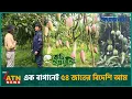Download Lagu এক বাগানেই ৫০ লাখ টাকার আম | Krishi O Projukti | 19 July, 2025 | ATN News