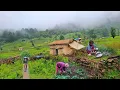 Download Lagu Himalayan Nepali village life || Real Nepali Village Life || Daily activities People in village life
