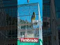 Download Lagu Canário timbrado #birds #timbrado #kenari