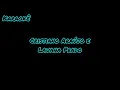 KARAOKÊ - PRECISO AMAR DE NOVO - CRISTIANO ARAÚJO E LAUANA PRADO