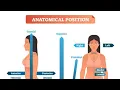 ANATOMICAL POSITIONS part 1 medical256 -