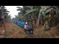 Download Lagu El tren del banano! En mi tierra es tren de carga!