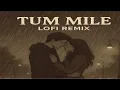 Download Lagu TUM MILE SLOWED AND REVERB