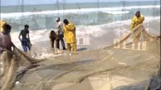 نعيمة سميح البحارة 