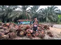 Lagu Full trip,, mobil sampe gk pernah pulang ke rumah