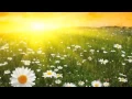 Guided Meditation - Unconditional Love long version