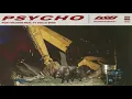 Post Malone Feat. Ty Dolla $ign - Psycho (Official Audio)